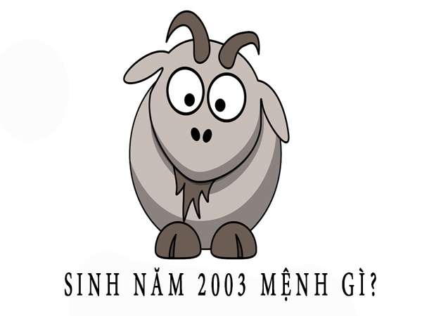 2003 mệnh gì