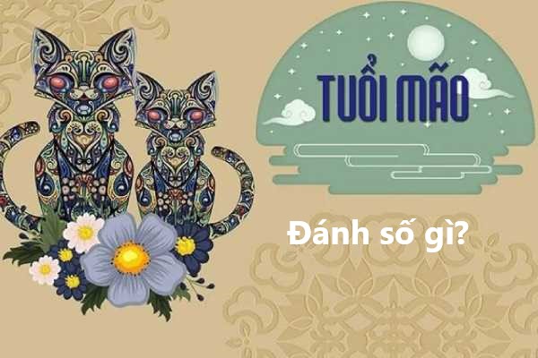 Khám phá chi tiết tử vi tuổi Mãi hôm nay