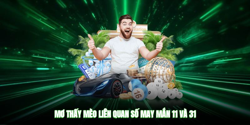Mơ thấy mèo liên quan số may mắn 11 và 31